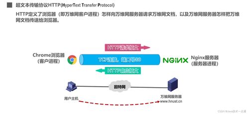計算機網絡第六章應用層學習筆記 計算機信息網絡設計的關鍵